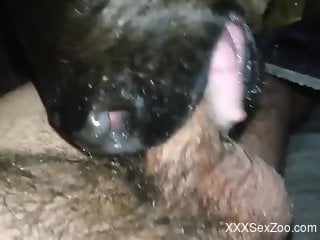 Baby veal licks man's dick very fine aid it makes him cum