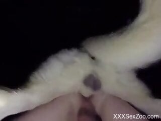 Furry dog humps naked man in the ass and comes inside him